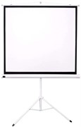 Экран Sakura TriScreen 200x200см (SCPST-200x200) n19523
