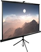 Экран Cactus TriExpert 180x180см (CS-PSTE-180X180-BK) n18878