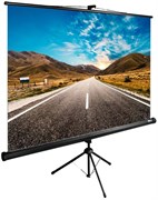 Экран Cactus TriExpert 160x160см (CS-PSTE-160X160-BK) n18877