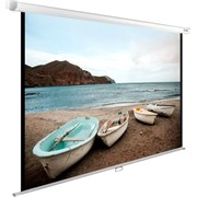 Экран Cactus WallExpert 138x220см (CS-PSWE-220X138-WT) n19254