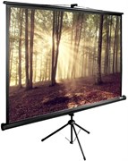 Экран Cactus TriExpert 135x180см (CS-PSTE-180Х135-BK) n18875