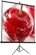 Экран ViewScreen Clamp Pro 127x127см (TCP-1101) n19548