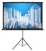 Экран Cactus Triscreen 104.4x186см (CS-PST-104X186) n18883