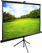 Экран Cactus TriExpert 150x200см (CS-PSTE-200Х150-BK) n19241