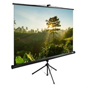 Экран Cactus TriExpert 200x200см (CS-PSTE-200X200-BK) n19244