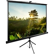 Экран Cactus TriExpert 200x200см (CS-PSTE-200Х200-BK) n18880