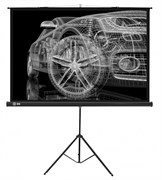 Экран Cactus Triscreen 124.5x221см (CS-PST-124X221) n19249