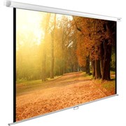 Экран Cactus WallExpert 125x200см (CS-PSWE-200X125-WT) n18888