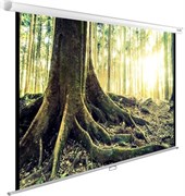 Экран Cactus WallExpert 220x220см (CS-PSWE-220X220-WT) n19260