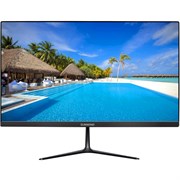 Монитор SunWind 22 SUN-M22BA102 n14770