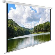 Экран Cactus WallExpert 150x240см (CS-PSWE-240X150-WT) n19256