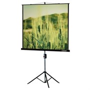Экран Lumien Master View 128x171 Matte White FiberGlass n19067