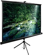 Экран Cactus TriExpert 220x165см (CS-PSTE-220Х165-BK) n18881