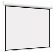 Экран Digis Optimal-B 200x150см MW (DSOB-4303) n19319