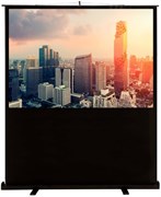 Экран Cactus FloorCompactExpert 102x180см (CS-PSFLCE-180X102) n18835