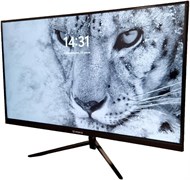Монитор IRBIS 24 SmartView 24 (24FIUS01) n14092