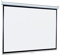 Экран Lumien Eco Picture 178х280 Matte White n19395