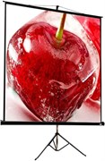 Экран ViewScreen Clamp Pro 213x213см (TCP-1105) n19558