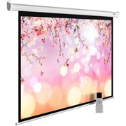 Экран Cactus MotoExpert 220x220см (CS-PSME-220X220-WT) n18863