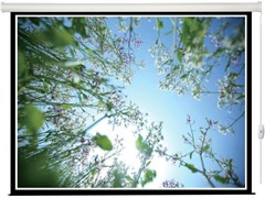 Экран Lumien Eco Control 203х203 Matte White n19382