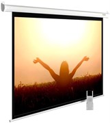 Экран Cactus MotoExpert 165x220см (CS-PSME-220X165-WT) n18860