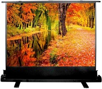 Экран Cactus FloorExpert 150x200см (CS-PSFLE-200X150) n18847