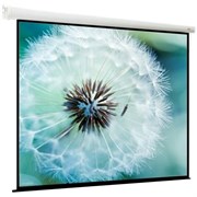 Экран ViewScreen Breston 171x171см (EBR-16902) n19525