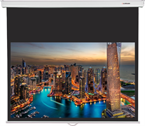 Экран Lumien Master Picture CSR 196x244 n19057