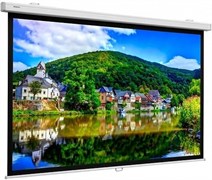 Экран Projecta ProScreen CSR Datalux 154х240 n19478
