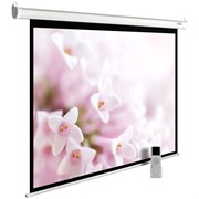 Экран Cactus MotoExpert 240x240см (CS-PSME-240X240-WT) n19196