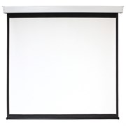 Экран Digis Electra-F 248x249см MW (DSEF-1108) n19303