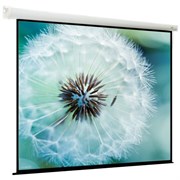 Экран ViewScreen Breston 220x220см (EBR-1109) n19530