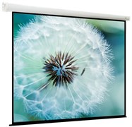 Экран ViewScreen Breston 235x235см (EBR-11061-001) n19531