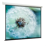 Экран ViewScreen Breston 244x244см (EBR-1106) n19532