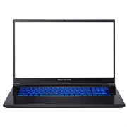 Ноутбук Dream Machines RS3080-17EU50 n16314