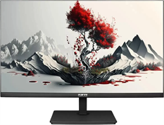 Монитор RDW Computers 24  2401K (F00В3100V2A1H) F710621