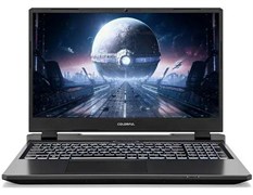 Ноутбук Colorful Evol P15 24 (A10205400055) F701942