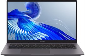 Ноутбук Maibenben P725 (P7251SF0LGRE0) F723242