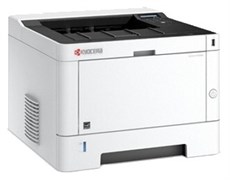 Принтер Kyocera Ecosys P2040dn F242950