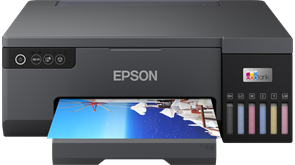 Принтер Epson L8050 F480316