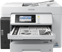 МФУ Epson M15180 F479147