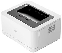 Принтер Deli P2000DNWs F700494