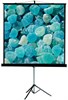 Экран ViewScreen Clamp Pro 240x137см (TCP-16904) n19159 - фото 101653