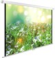 Экран Cactus WallExpert 200x200см (CS-PSWE-200X200-WT) n18894 - фото 101991