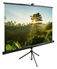 Экран Cactus TriExpert 200x200см (CS-PSTE-200X200-BK) n19244 - фото 102078