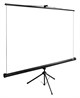 Экран Cactus TriExpert 200x200см (CS-PSTE-200X200-BK) n19244 - фото 102079