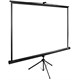 Экран Cactus TriExpert 200x200см (CS-PSTE-200Х200-BK) n18880 - фото 102092