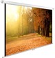 Экран Cactus WallExpert 125x200см (CS-PSWE-200X125-WT) n18888 - фото 102121