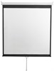 Экран Digis Optimal-D 248x250см MW (DSOD-1107) n18942 - фото 102123