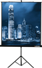 Экран Lumien Master View 165x220 Matte White FiberGlass n19467 - фото 103283